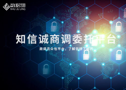 平?jīng)龃竺资袌?chǎng)調(diào)查全攻略 從目標(biāo)到渠道的實(shí)踐指南